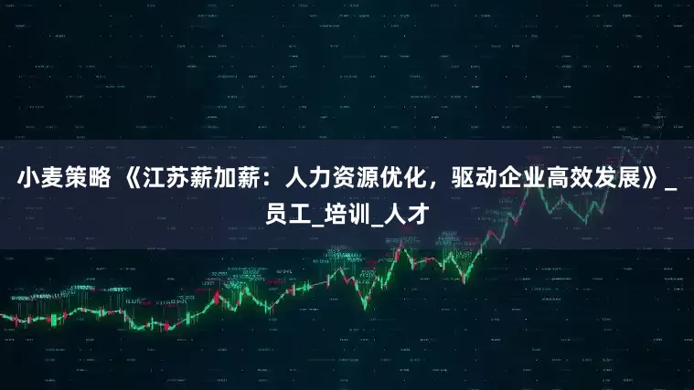 小麦策略 《江苏薪加薪：人力资源优化，驱动企业高效发展》_员工_培训_人才