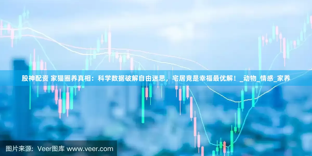 股神配资 家猫圈养真相：科学数据破解自由迷思，宅居竟是幸福最优解！_动物_情感_家养