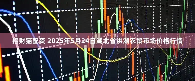 招财猫配资 2025年5月24日湖北省洪湖农贸市场价格行情