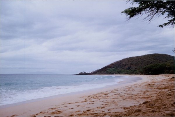 掌盘策略 俄罗斯堪察加发生强烈地震 美国夏威夷州发布海啸预警_大皖新闻 | 安徽网